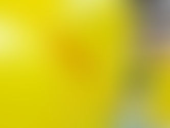 Márkázott rendezvénydekoráció közeli fotója: élénksárga lufik piros Josera felirattal, a háttérben elmosódó sárga standdal.