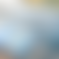 CATATPULT Arts Accelerator Fall 2024 Cohort