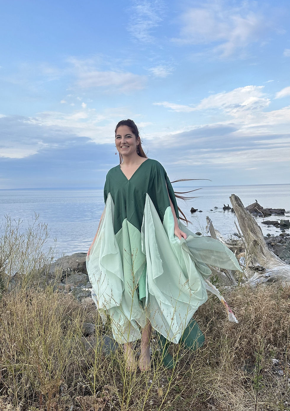 Artiste du jour, Les Arts Visuels de la Baie