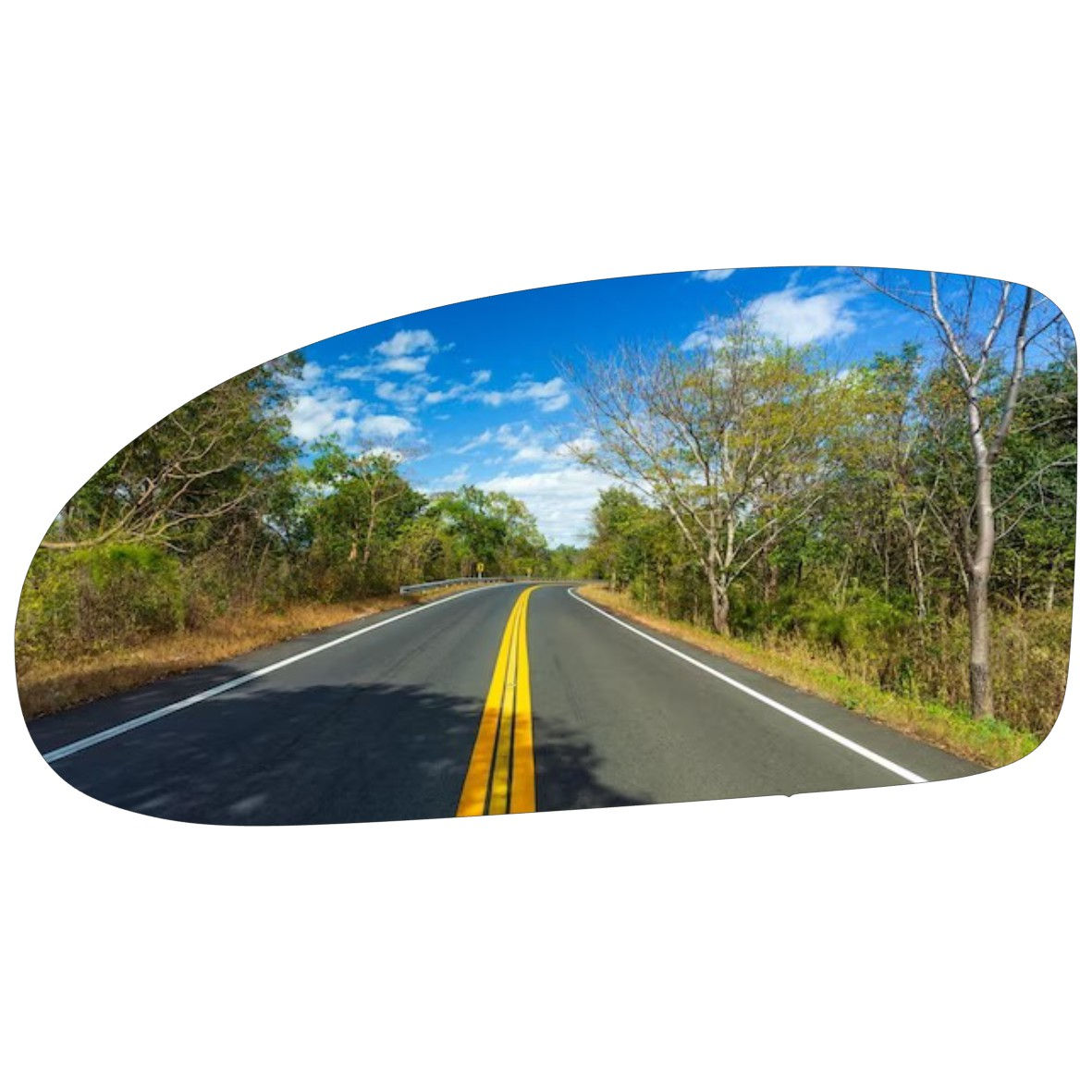 Ford Focus 2000-2005 Luneta espejo retrovisor Alternativo