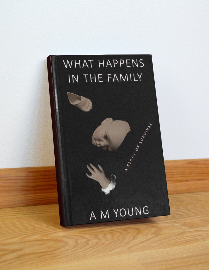 What Happens In the Family generational trauma fiction book cover