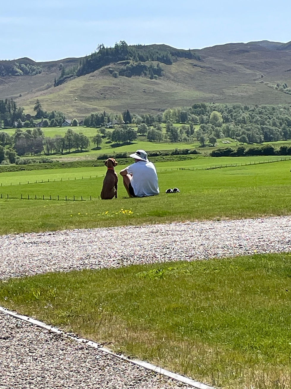 One man and his dog taking in the views