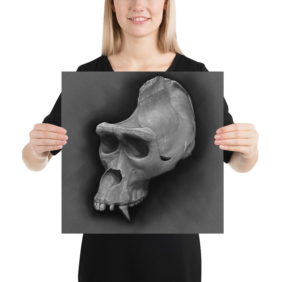 Thumbnail: Western Lowland Gorilla Skull — Fine Art Poster