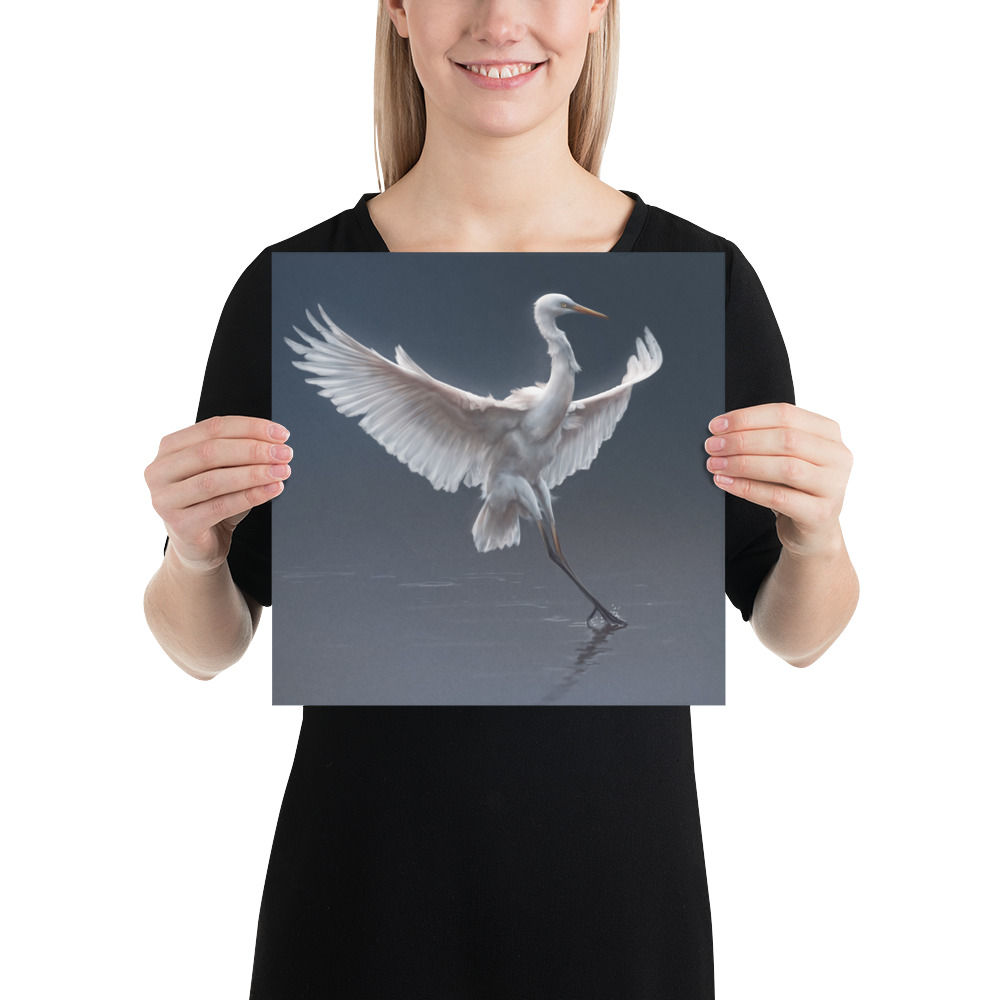 Morning Flight - Egret — Fine Art Poster