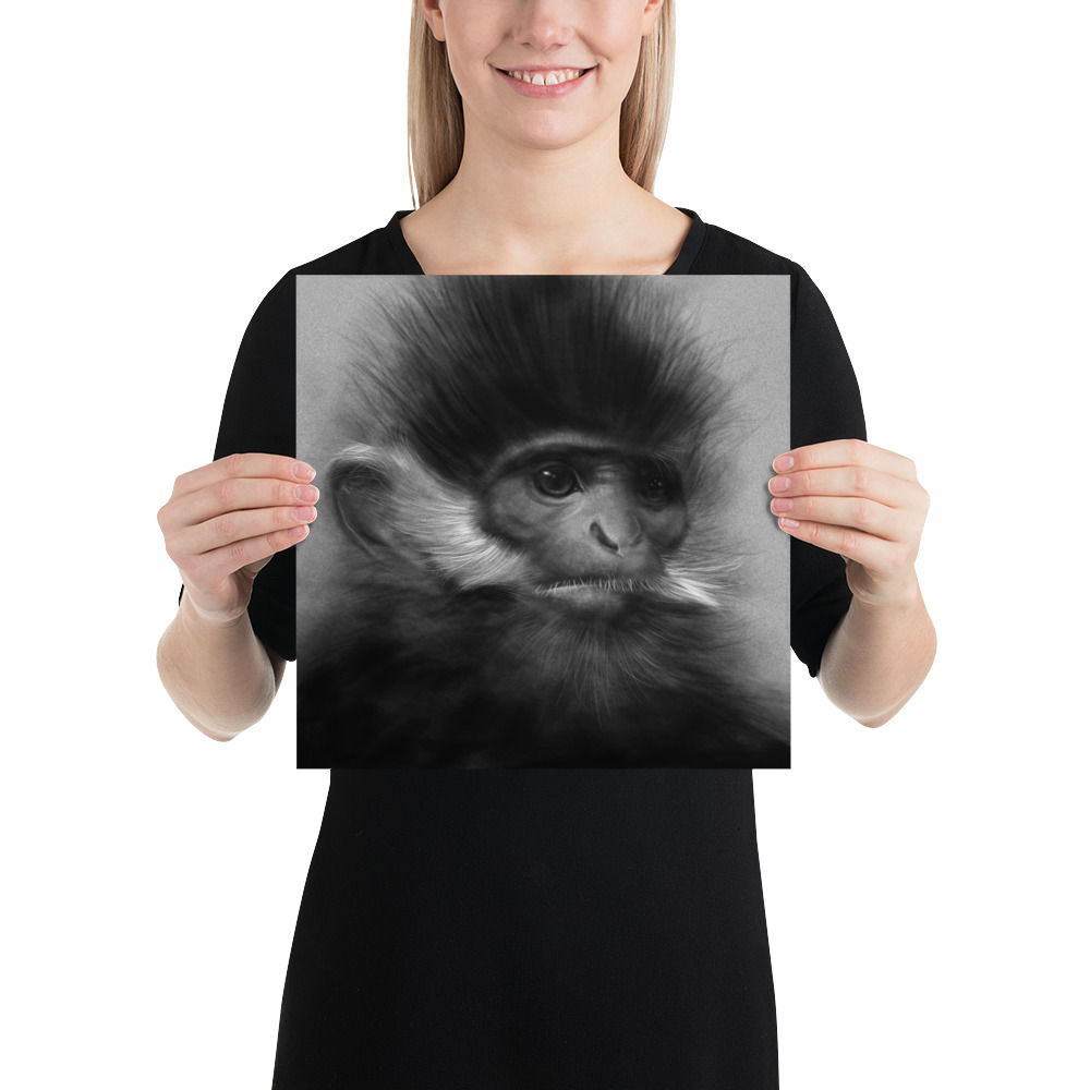 François’ Langur Portrait — Fine Art Poster