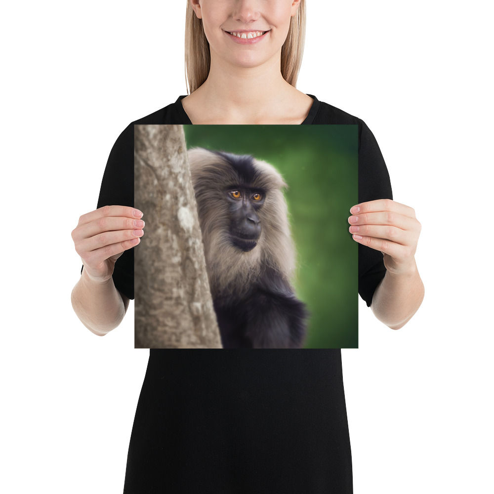 Lion-Tailed Macaque — Fine Art Poster