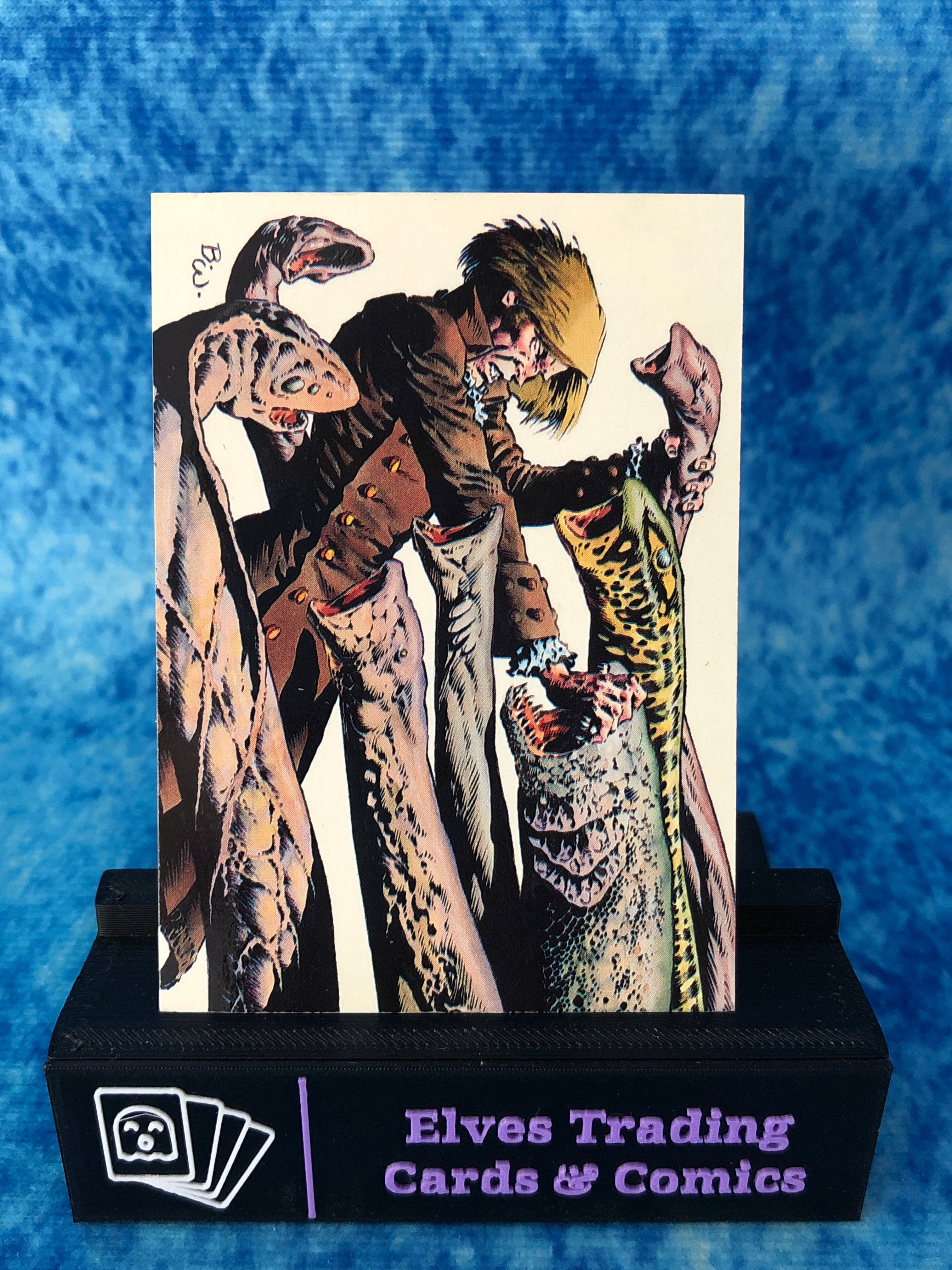 Bernie Wrightson: Master of the Macabre SINGLE Non-Sport Trading Card FPG 1993