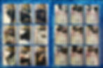 Thumbnail: Dead Zone Seasons 1 & 2 complete trading card base set by Rittenhouse 2004