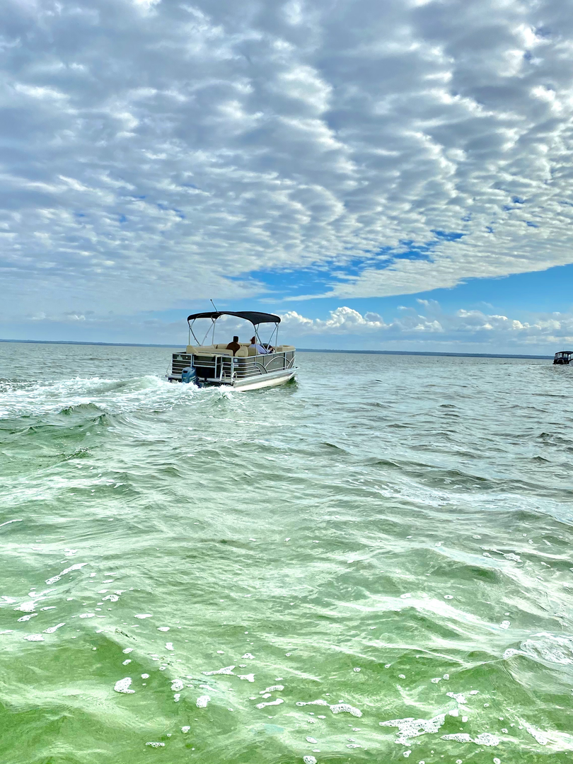 Hernando Beach Captain's Boat Rental United States