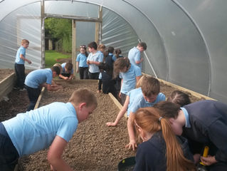 Second, Third and Fourth Class Busy at Work.