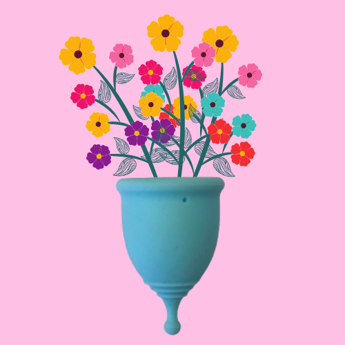 10 Beneficios De Amina Cup