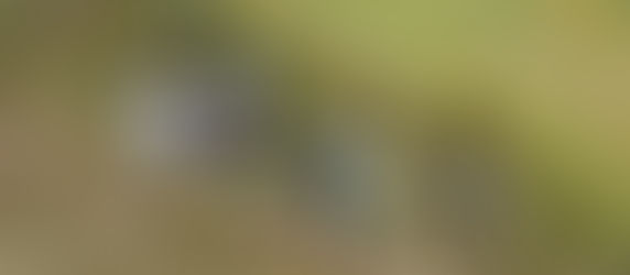 The Hidden Cost of Hiking in Ethiopia: When Our Footsteps Leave Waste Behind