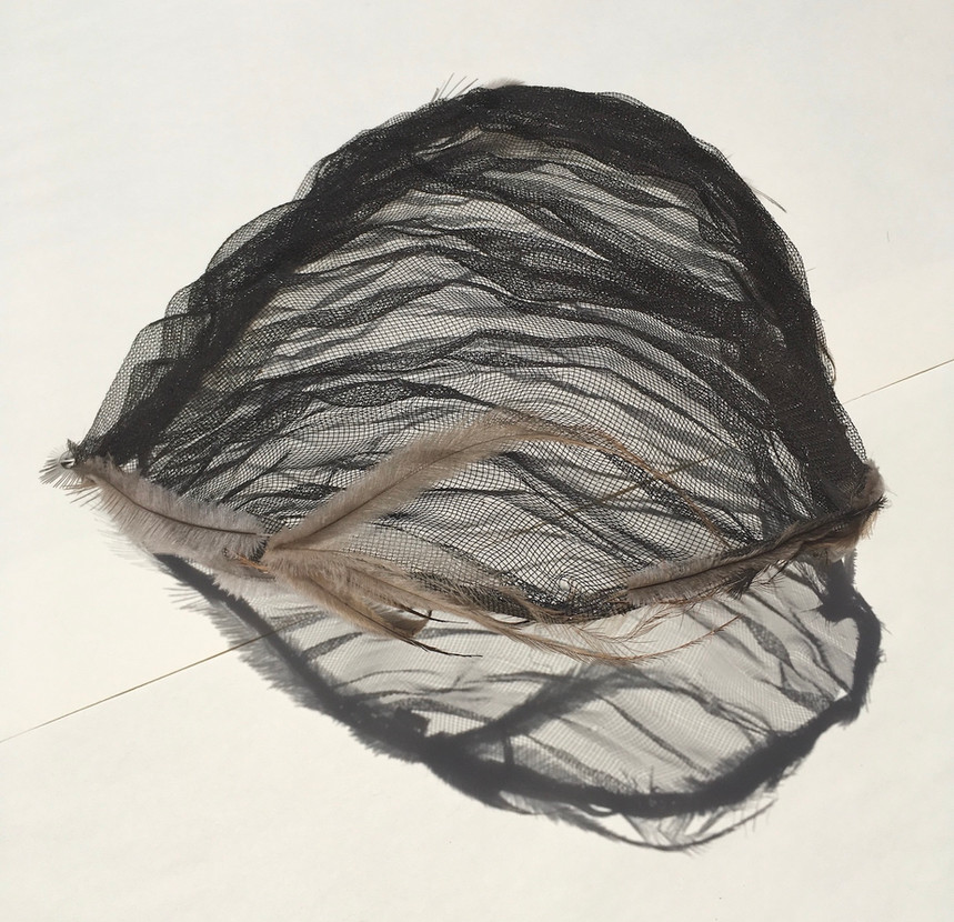 _Empty shell_2020 Aluminium mesh, emu feathers, 39x42x10.jpeg