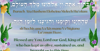 _11 11 שהחיינו.png