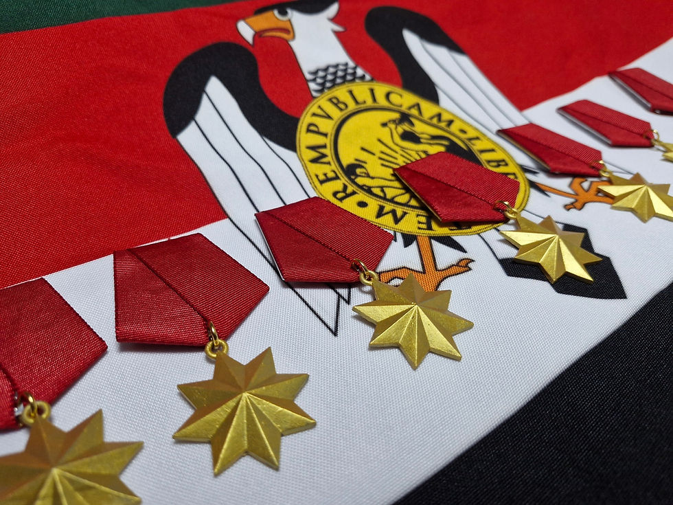 União Sinética passa a produzir condecorações em massa