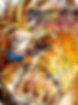 DBZ Fighertz