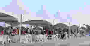 tent on the beach tcspca