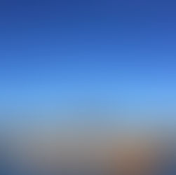 A Catalogue of Afternoons