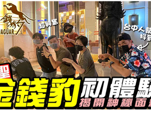 台中金錢豹玩法有哪些?樓層介紹、消費模式大公開!金錢豹小姐可以摸嗎?