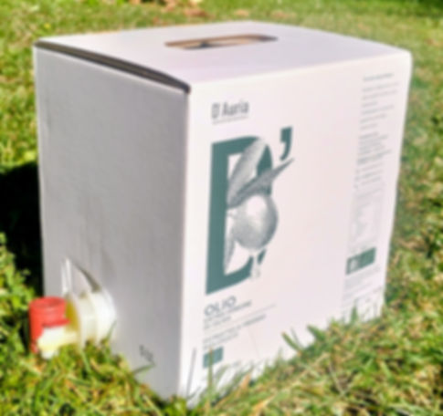 - EDIZIONE LIMITATA - 2 Bag in Box 5 Lt di Monocultivar Scarpetta - Olio Evo Bio