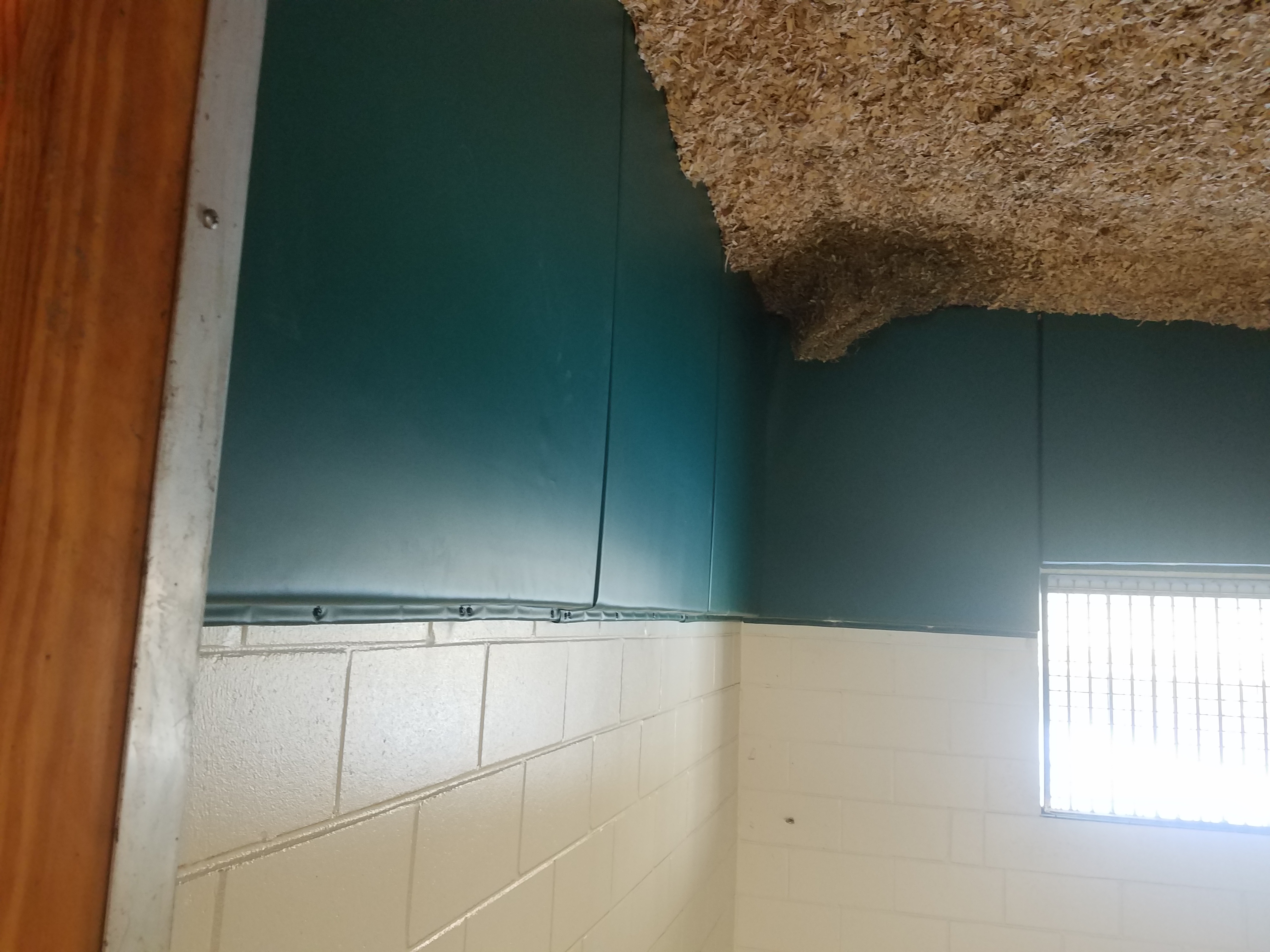 Dandy Products Products Barn Padding Kick Pads