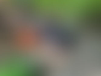 Community Comes Together to Find Missing Mahopac Man