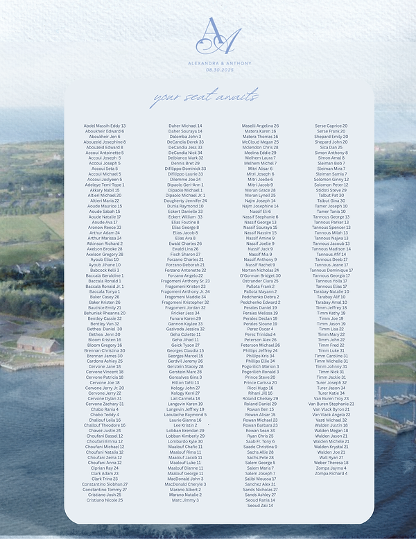 Copy of Blue White Elegant Abstract Wedding Menu (Real Estate Flyer).png