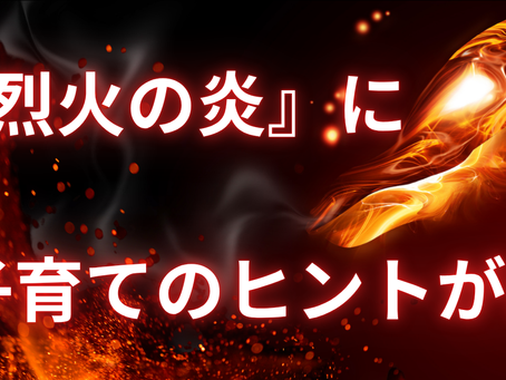 漫画『烈火の炎』の中にある、療育と子育ての『隠れたカギ』