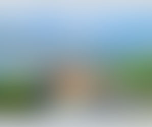 Luxury Car and Van Limousine Rental Service With Driver in Ha Long Bay - Asia Transport