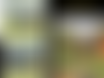 Cẩm Nang Thuê Xe Limousine Đi Mộc Châu: Giá Cả, Kinh Nghiệm, Lưu Ý Quan Trọng