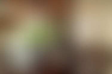 Mùa hè 2022 đi resort trong 8 địa điểm dưới đây vậy bố mẹ 😜?