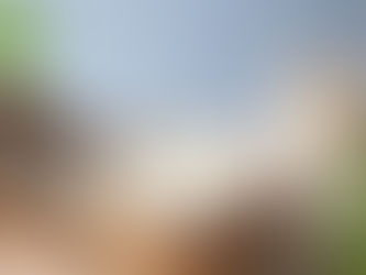 Dừa sáp đặc sản ở đâu? Dừa sáp có thể chế biến thành những món ăn nào?