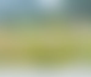 Những Điểm Ngắm Hoa Tam Giác Mạch Tại Miền Bắc – Điểm Đến Đẹp Cho Mùa Thu