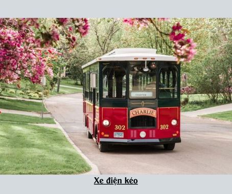 Khám Phá Thế Giới Với Dịch Vụ Thuê Xe Trolley Chuyên Nghiệp tại Mỹ