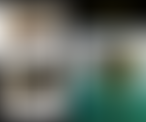 Top 10 Công Ty Cho Thuê Xe Du Lịch Hà Nội Uy Tín Nhất