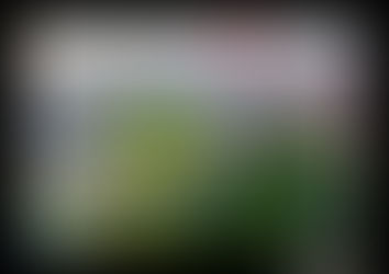 Dịch Vụ Cho Thuê Xe Limousine Đi Lạng Sơn từ Asia Transport - Khám Phá Hành Trình Sang Trọng 