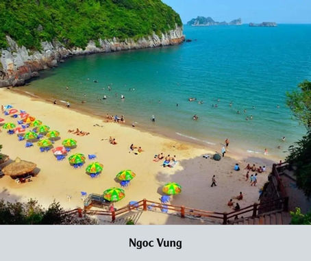 Exploring the Most Detailed Travel Experiences on Ngoc Vung Island