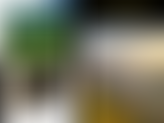 Cẩm Nang Thuê Xe Limousine Đi Mai Châu: Giá Cả, Kinh Nghiệm, Lưu Ý Quan Trọng