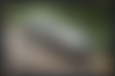 Hãng Xe Eagle của nước nào? Lịch Sử và Các Mẫu Xe Nổi Tiếng