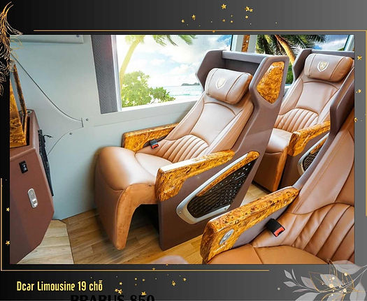 Dcar Limousine 16 chỗ (3).jpg