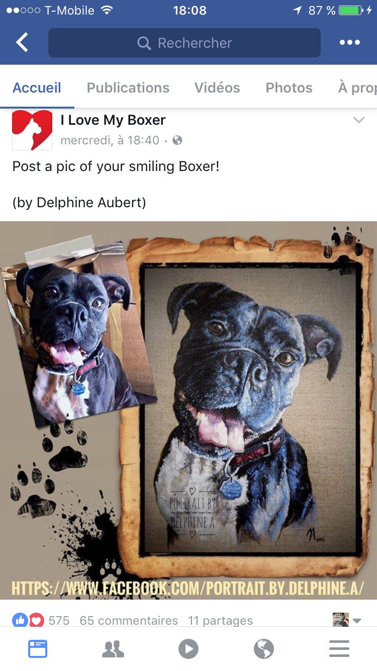 I love my boxer