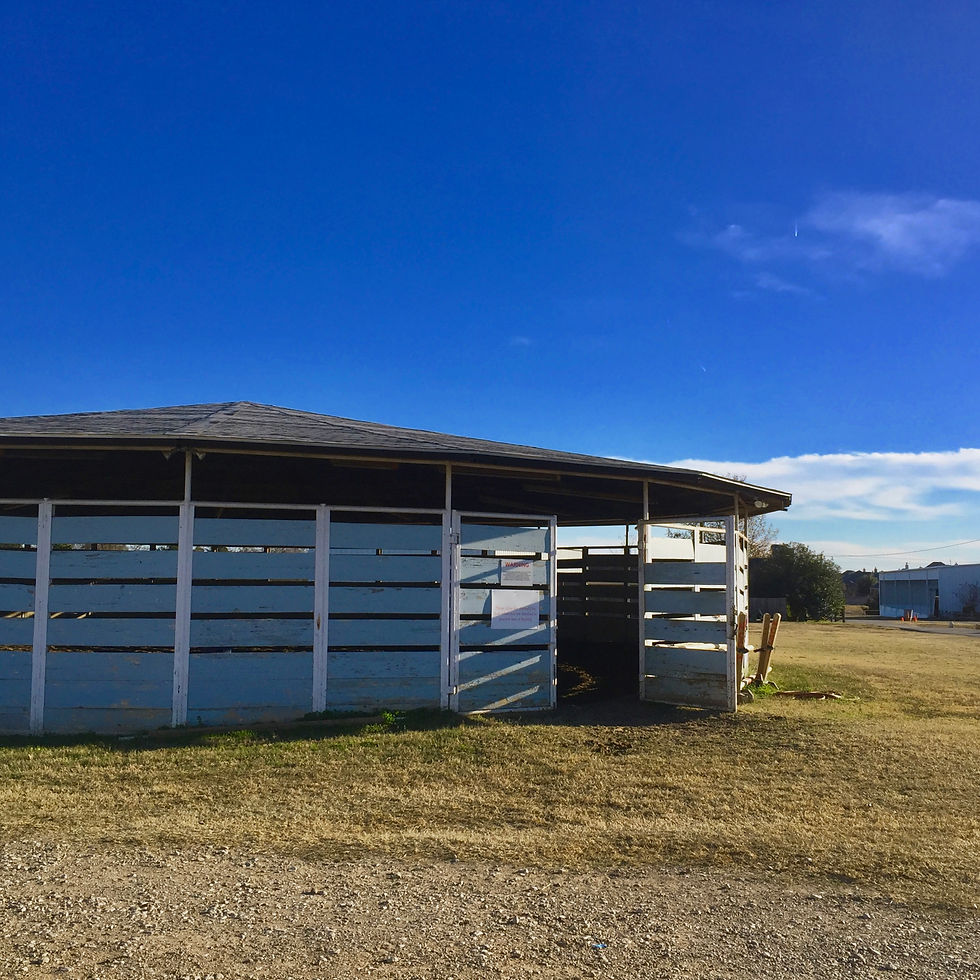 M Bar K farms Round pen