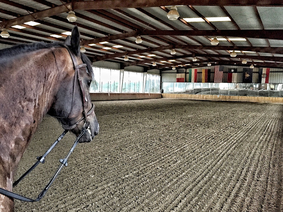 Covered Indoor Arena