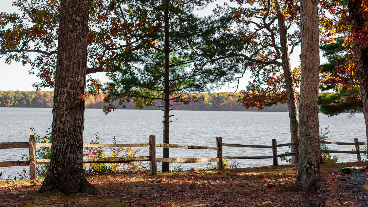 Lake view through autumn trees with wooden fence.