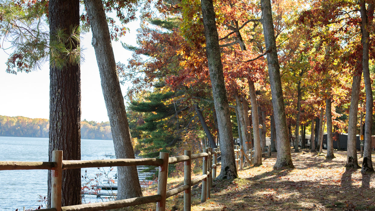 Vibrant autumn trees border a wooden fence along a tranquil lake.