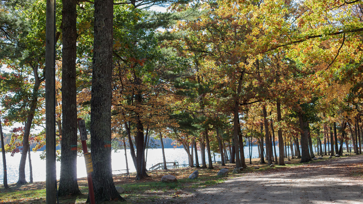 Gravel path winding through colorful autumn trees beside a glistening lake.