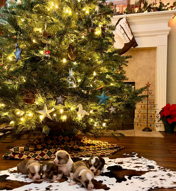 IMG_0704 (1)_edited.jpg