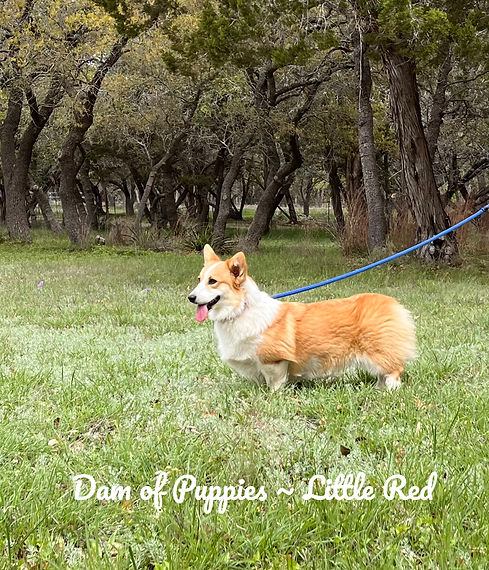 FullSizeRender (2)_edited.jpg