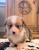 IMG_2092 (1)_edited.jpg