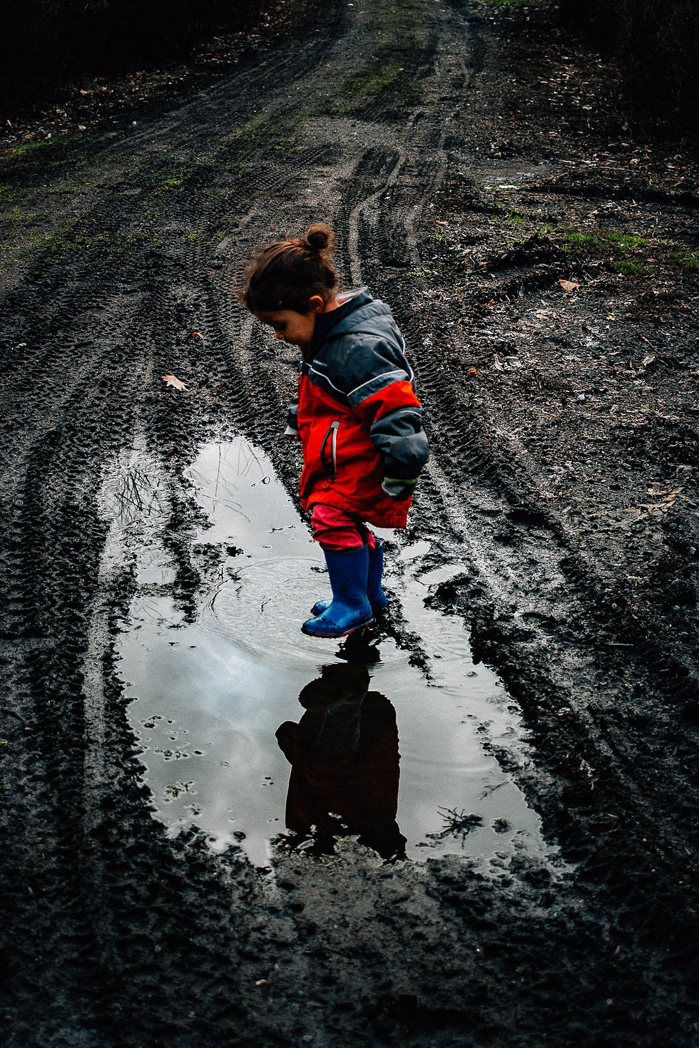 Unschooling: Rewildhood
